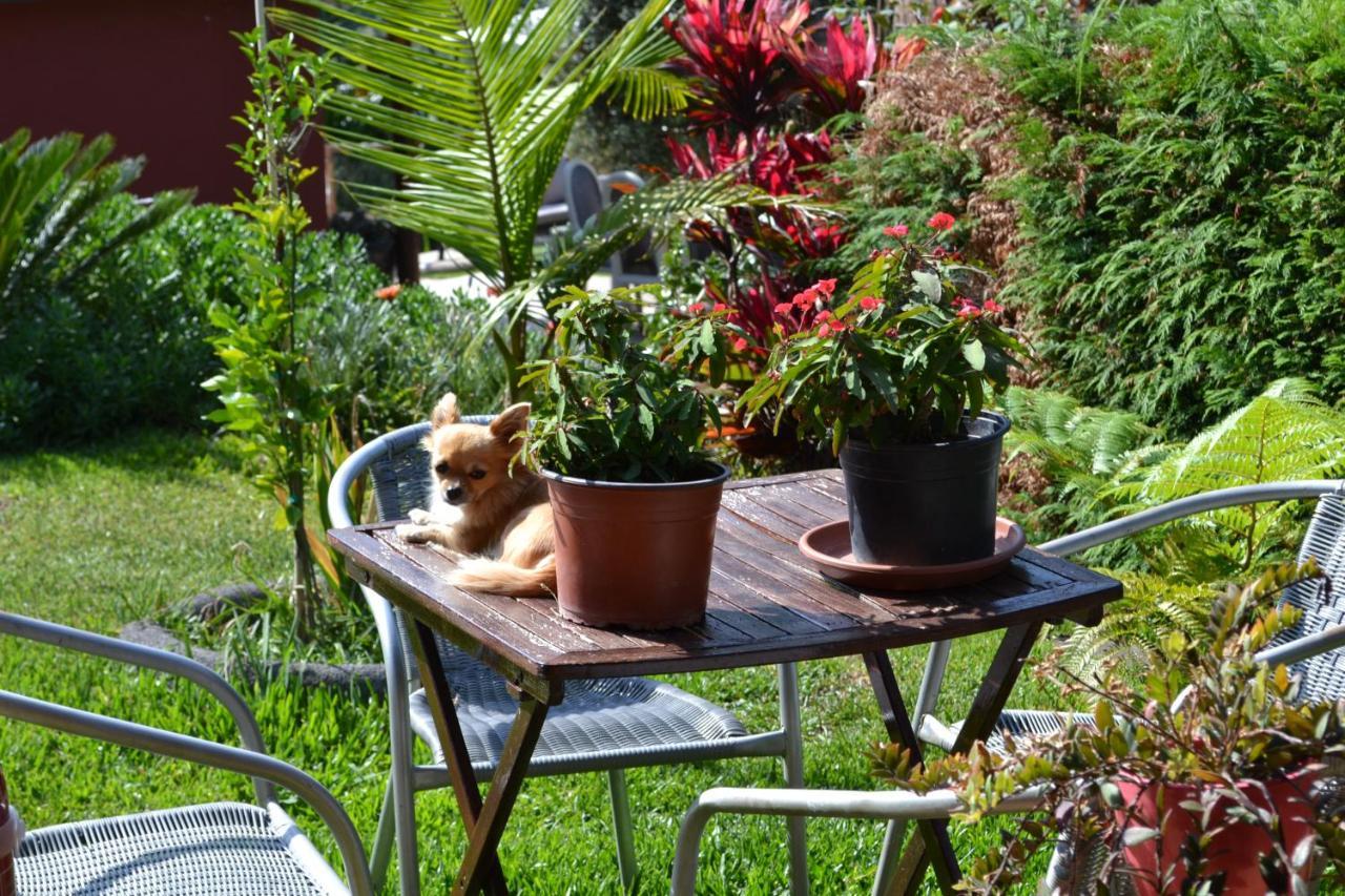 Bed and Breakfast Maderedocevida Boaventura Esterno foto