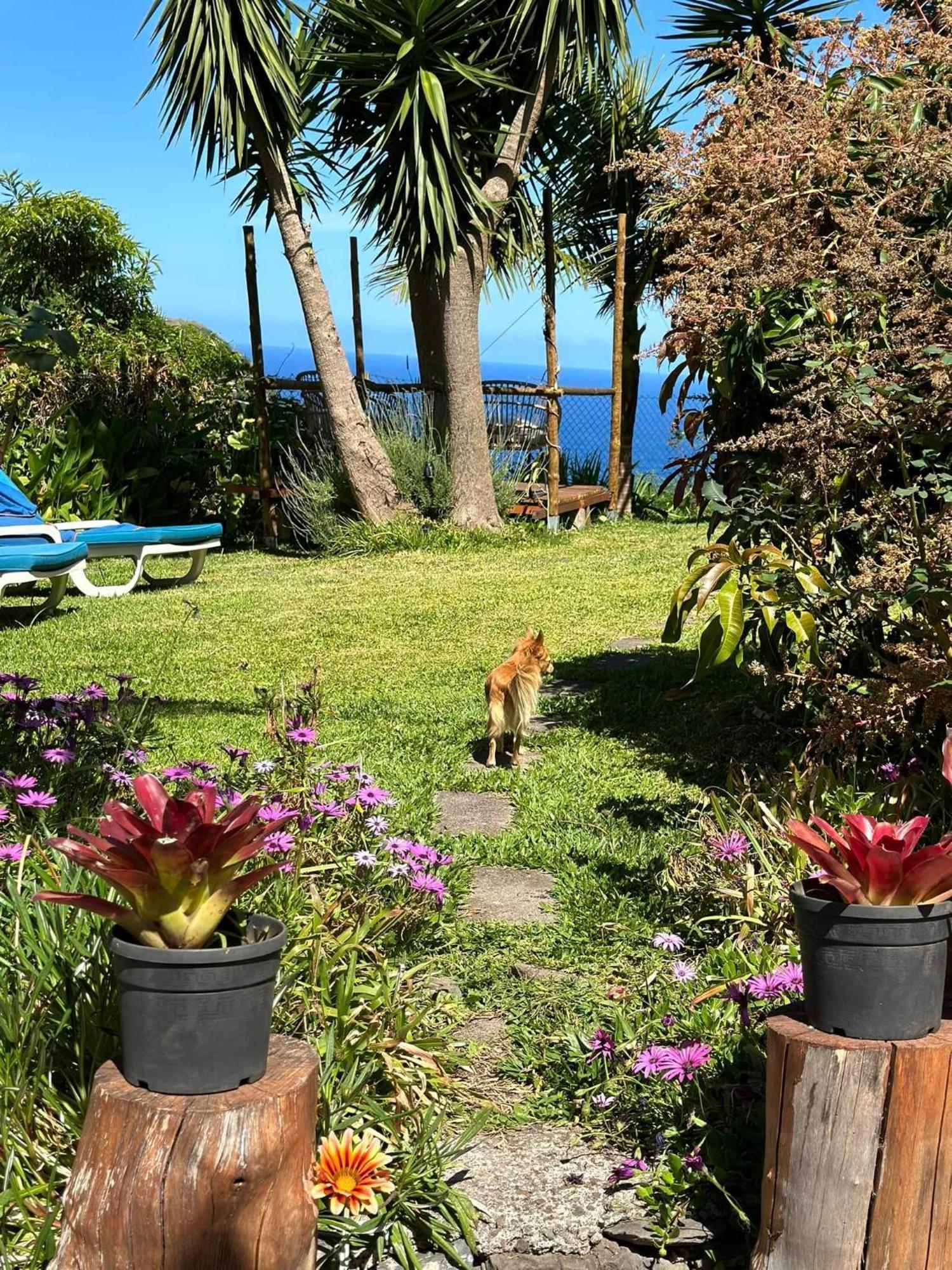 Bed and Breakfast Maderedocevida Boaventura Esterno foto