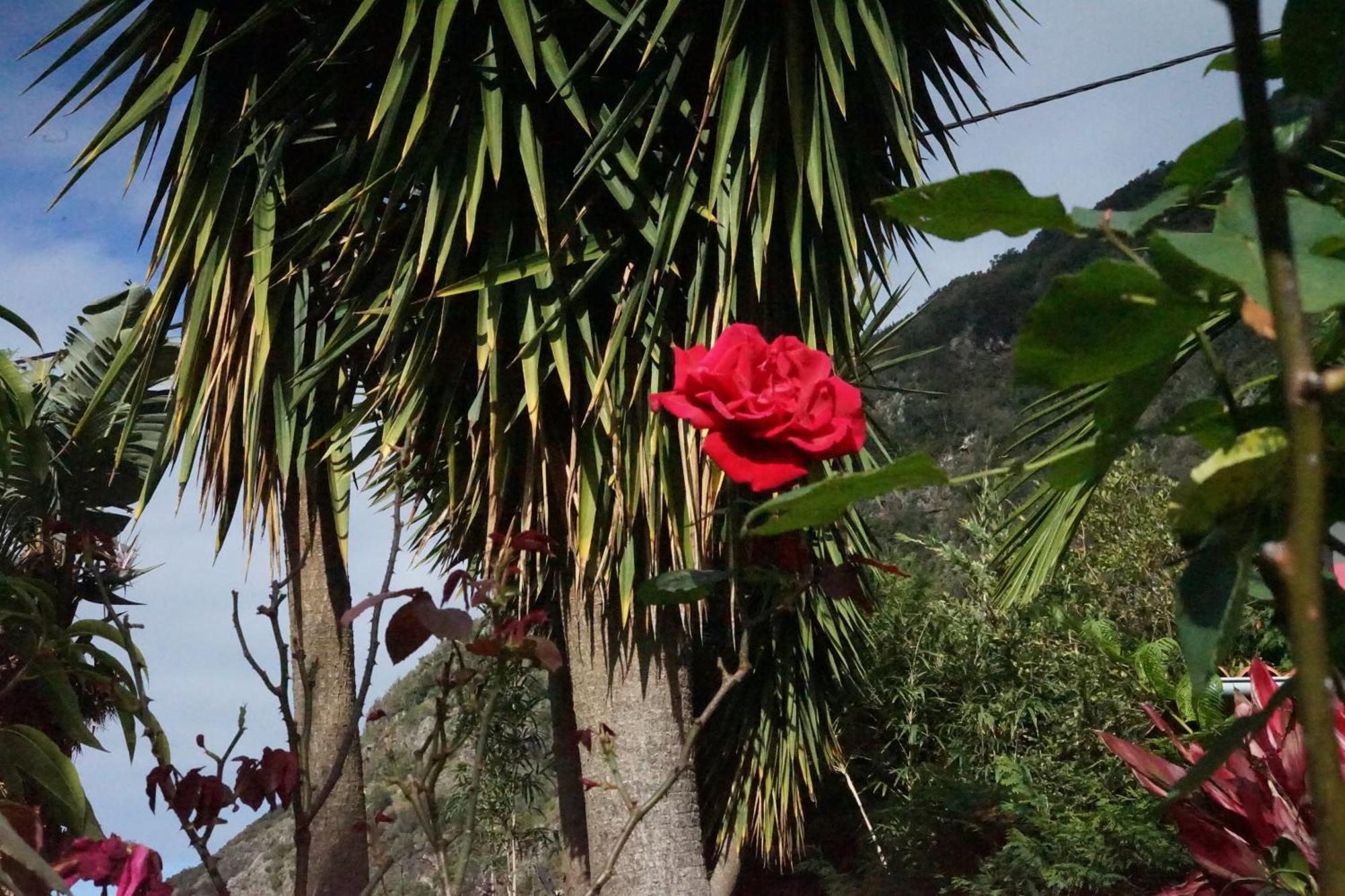 Bed and Breakfast Maderedocevida Boaventura Esterno foto